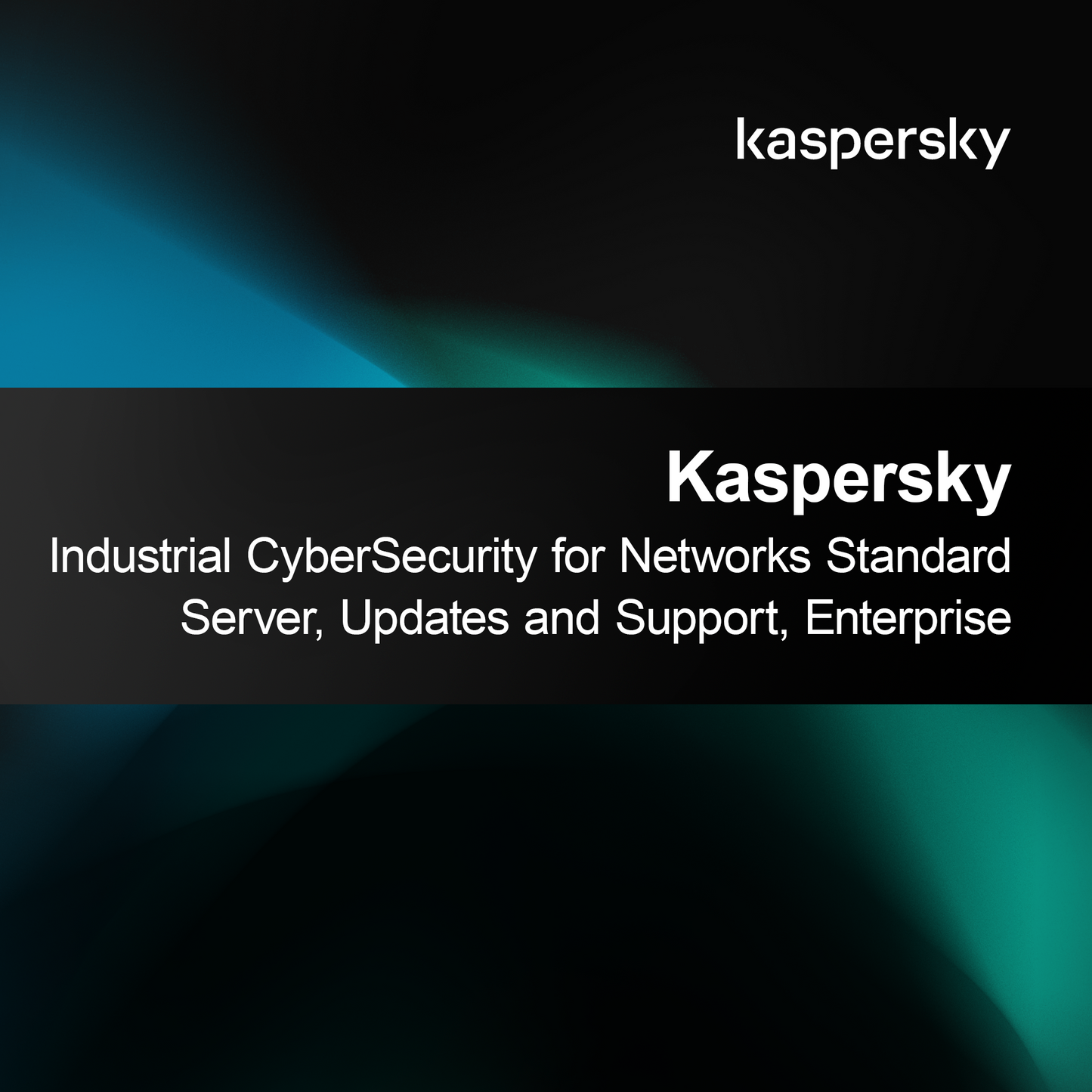 Kaspersky Industrial CyberSecurity for Networks Standard Server, Updates and Teamviewer Support, Enterprise